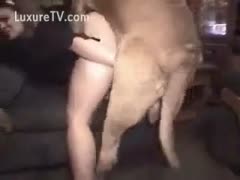 In order to get revenge on her unfaithful partner, the cunning girlfriend is playing bestiality with K9.